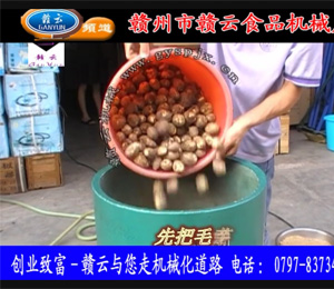 ����ȥƤ�C(j��)